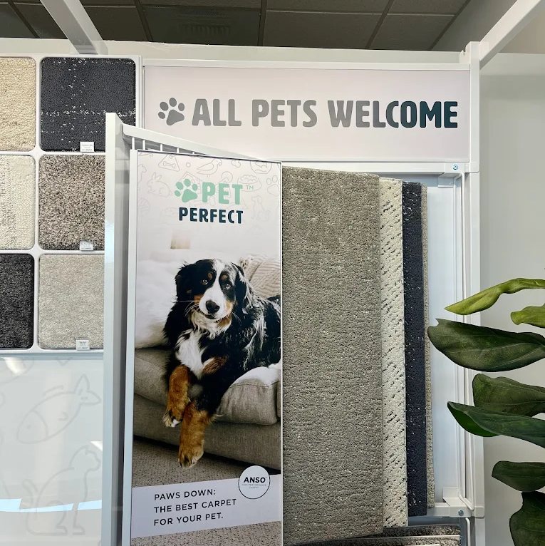 We sell pet friendly carpet